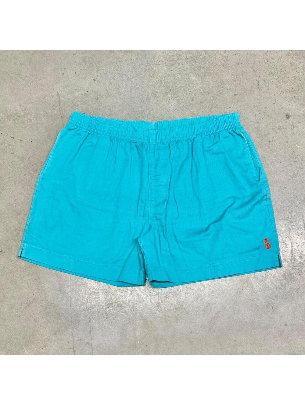 Chubbies Dad Shorts Mens XL Blue 5” Elastic Waist Flat Front Chino Baggies